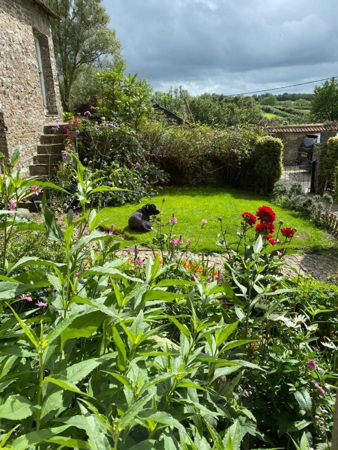 Higher Biddacott Farm Chittlehampton Exterior photo